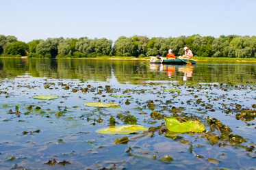 Similar image 1438372