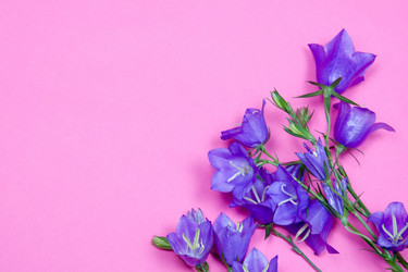 Similar image 1438373