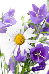 Similar image 1438374