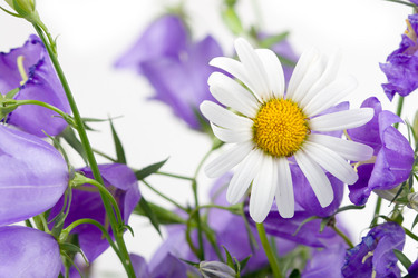 Similar image 1438375