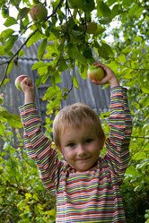 Similar image 1438377