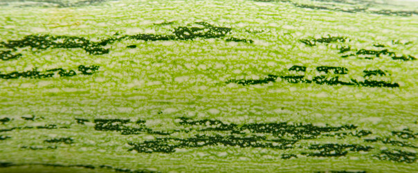 Similar image 1438379