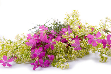 Similar image 1438380