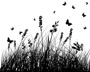 Similar image 1438387