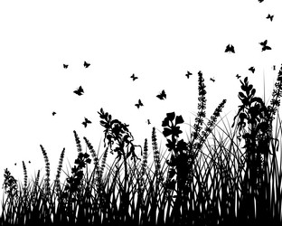 Similar image 1438390