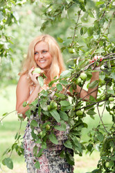 Similar image 1438407