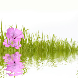 Similar image 1438613