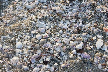 Similar image 1438614