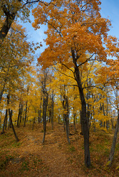 Similar image 1438619