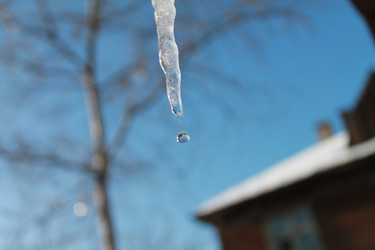 Similar image 1438621