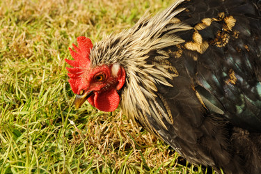 Similar image 1438912