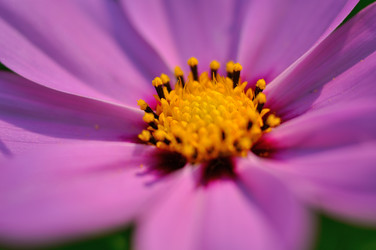 Similar image 1438921