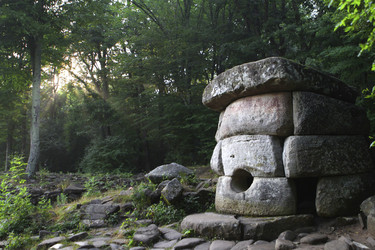 Similar image 1439141