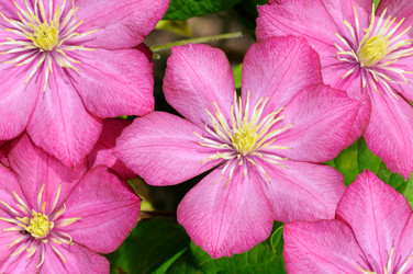 Similar image 1439162