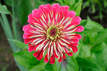 Similar image 1439167