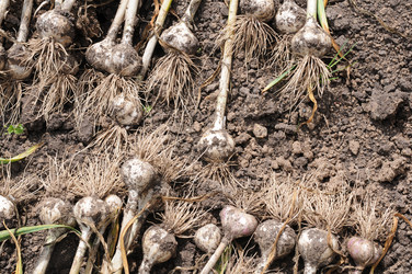 Similar image 1439171