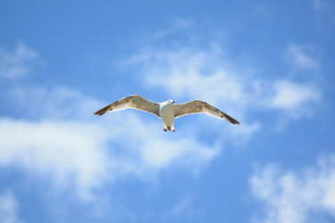 Similar image 1440341