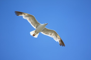 Similar image 1440342