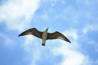 Similar image 1440358