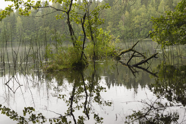 Similar image 1440368