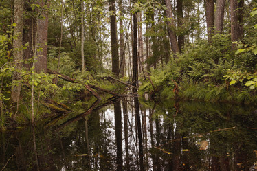 Similar image 1440370