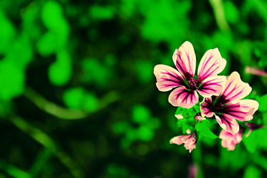 Similar image 1440376