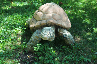 Similar image 1440385