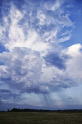 Similar image 1440394