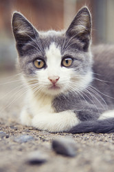 Similar image 1440396