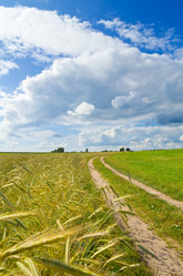 Similar image 1440439