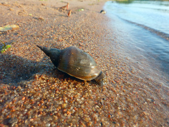 Similar image 1440472