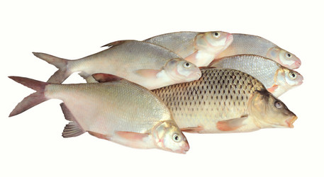 Similar image 1440493