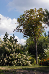 Similar image 1440547