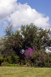 Similar image 1440549