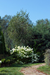 Similar image 1440552