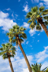 Similar image 1440567