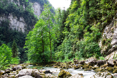 Similar image 1440569