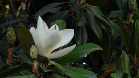 Similar image 1440579