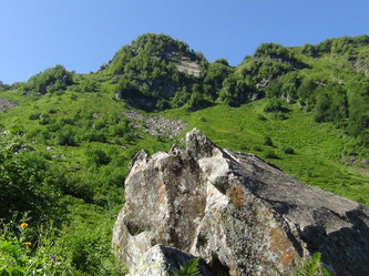 Similar image 1440580