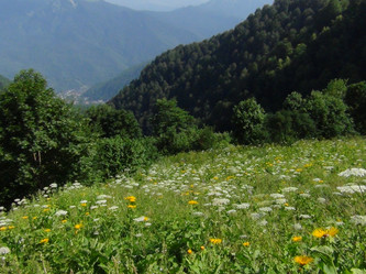 Similar image 1440581