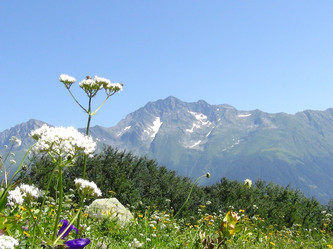 Similar image 1440582