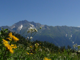 Similar image 1440583