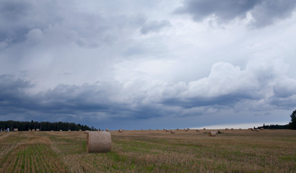 Similar image 1440618