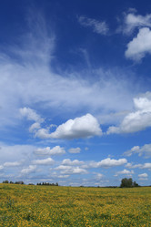 Similar image 1440620