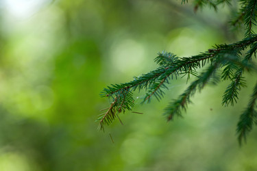 Similar image 1440623