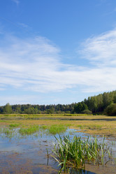 Similar image 1440625