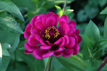 Similar image 1440631