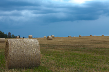 Similar image 1440637