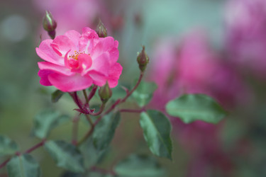 Similar image 1440638