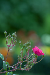 Similar image 1440639